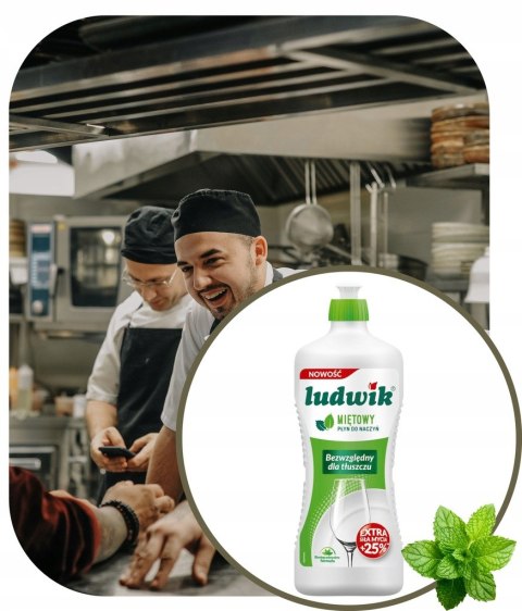 LUDWIK Płyn do naczyń 900ml Mięta LUDWIK Płyn do naczyń 900ml Mięta